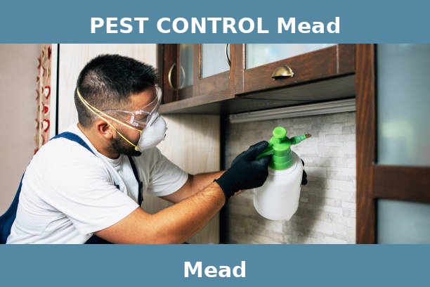 PEST CONTROL Mead